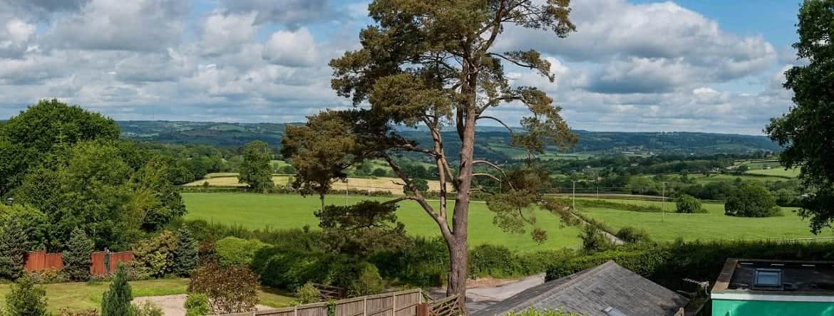 Netherleigh B&B Axminster